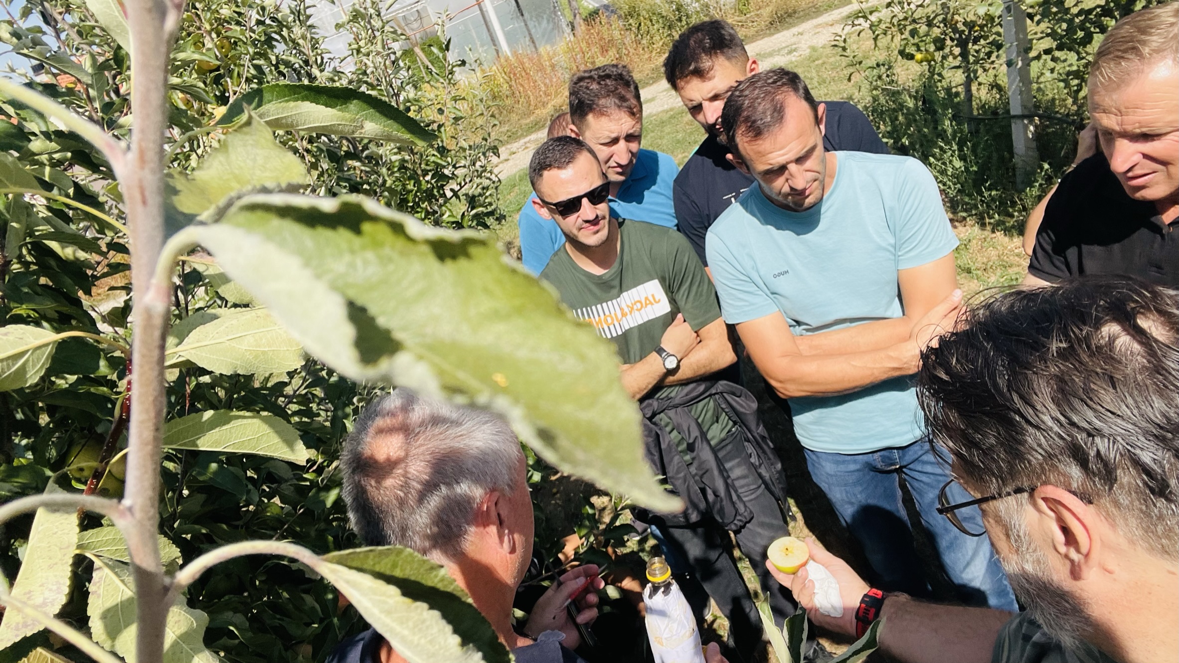 Final IWRM-K Training: Advancements in Integrated Water and Apple Harvest Management