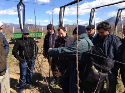 Support to the Introduction of Sustainable Farming practices in the Prespa Lake Watershed Restoratio