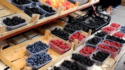 Value chain analysis of Fruits & Berries in South Serbia