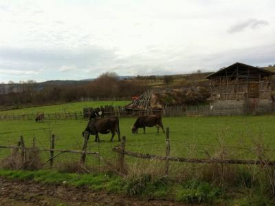 Надворешна Евалуација на Проекти во Косово и Албанија 