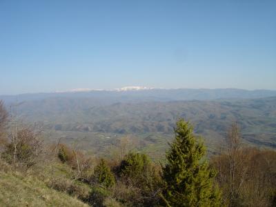 Elaboration of a Concept for Nature Preservation Programme in Osogovo Mountain/Bregalnica Watershed 